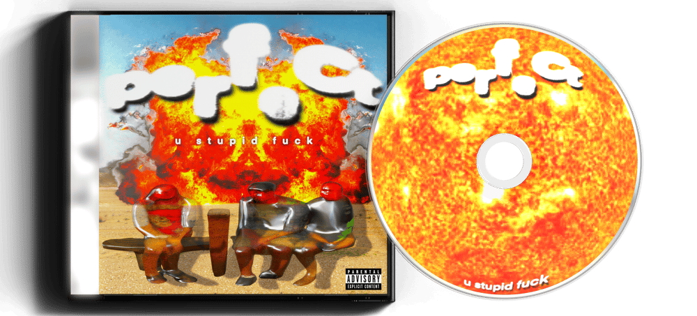 PERFECT - U STUPID FUCK