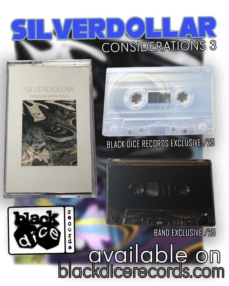 SILVERDOLLAR - CONSIDERATIONS 3